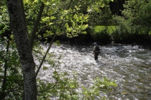 Pesca nei fiumi del Parco Nazionale Alti Tauri
