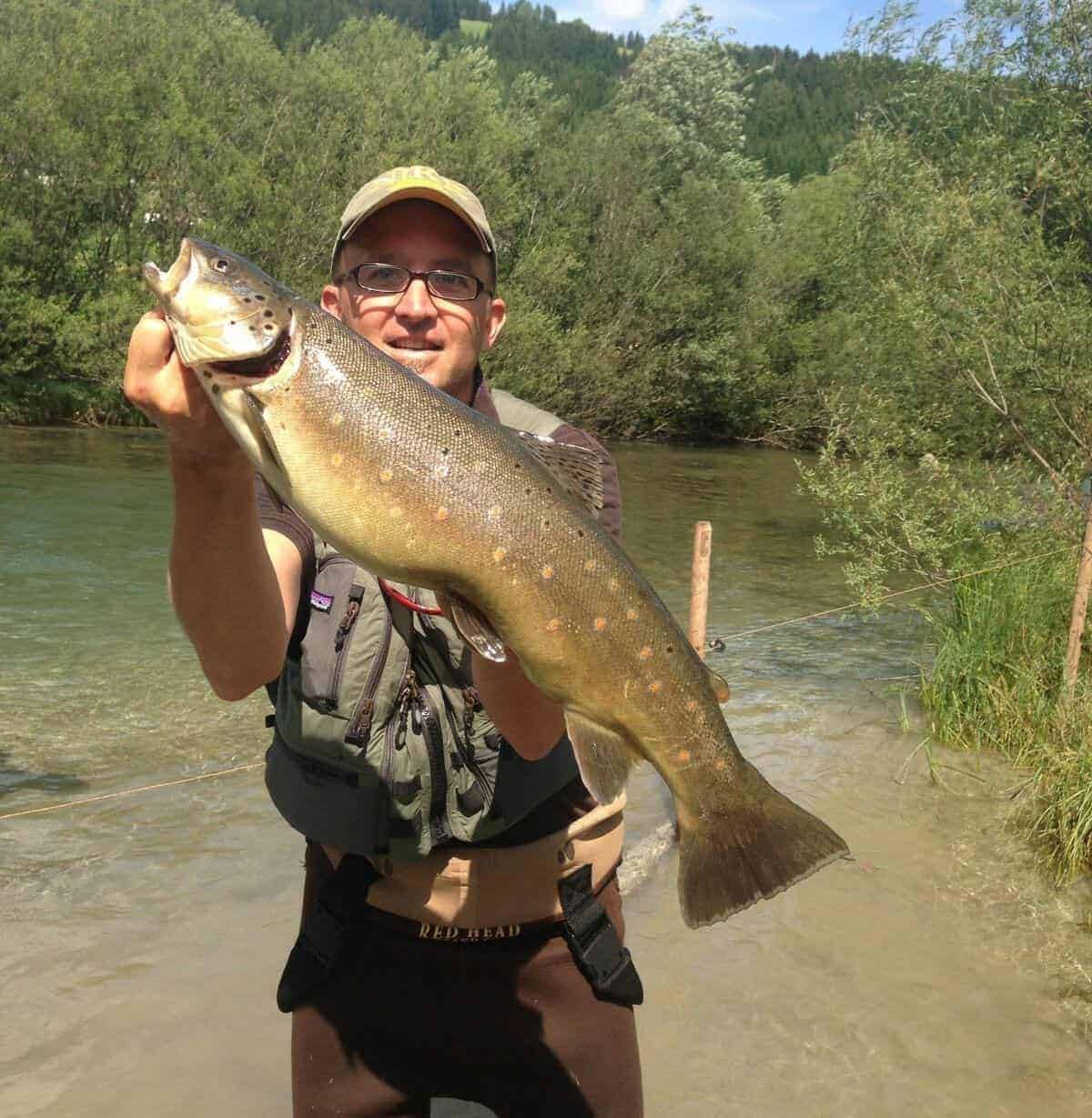 Brown trout in the Longa
