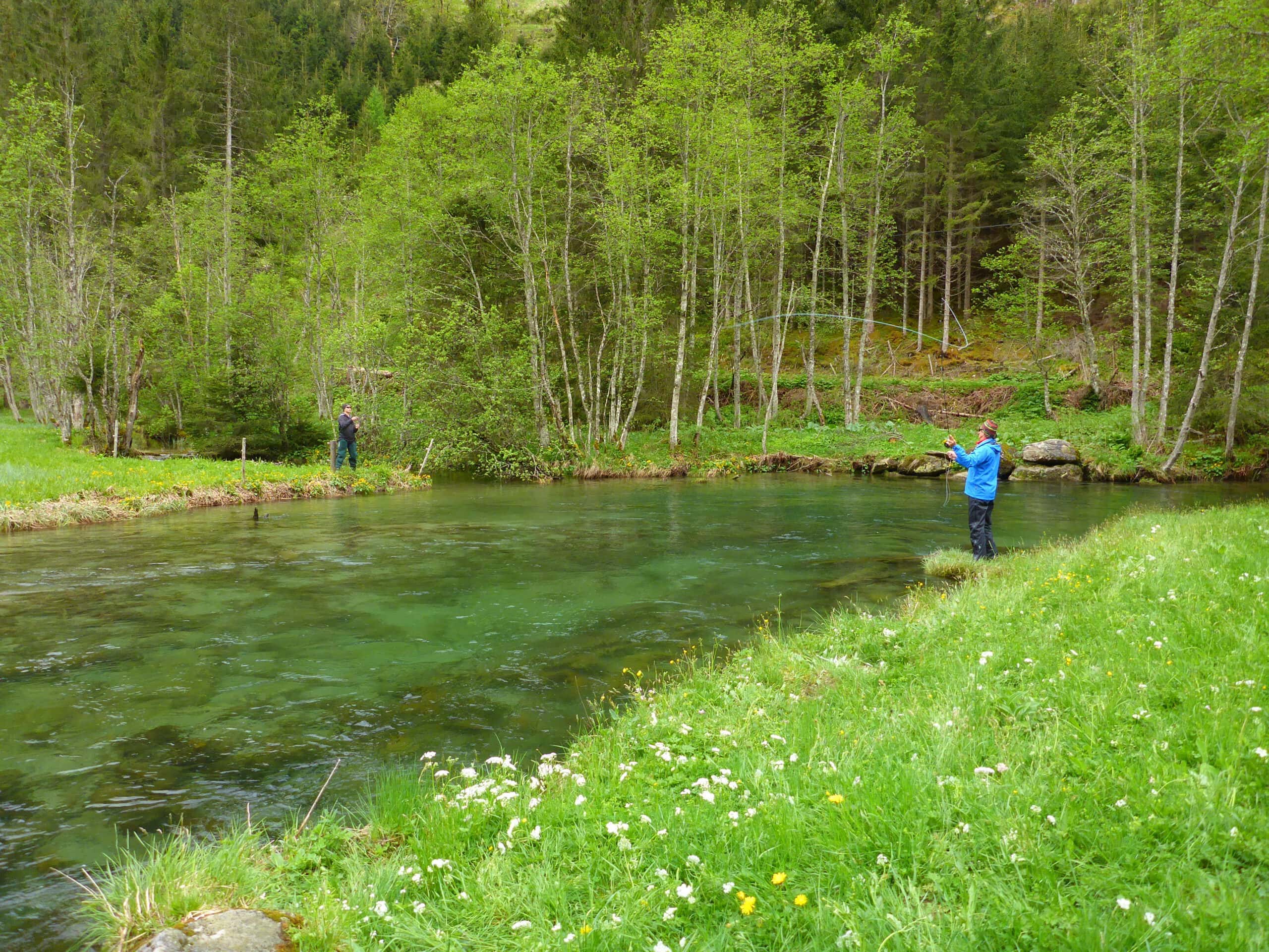 Der Untertalbach ist eine ca. 7 km lange Fliegenfischerstrecke, die sich mäanderartig dahinschlingt.
